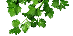 Грузинская кухня